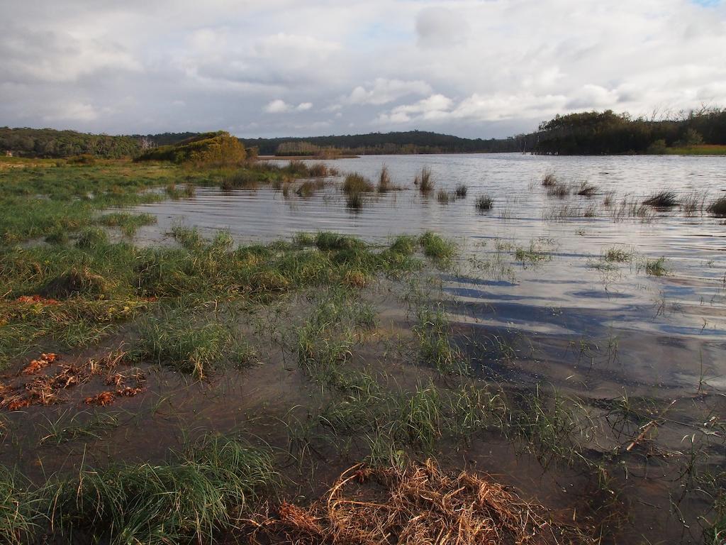 Bundle Hill Cottages Bawley Point Esterno foto